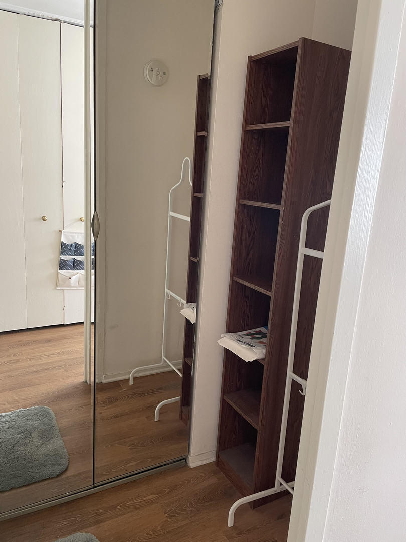 1400 East 55th Place, Unit 613S Chicago, IL 60637 - Photo 12 of 12 a view of walk in closet