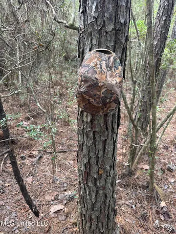 $44,000 | Country Hill Road, Lucedale, MS 39452