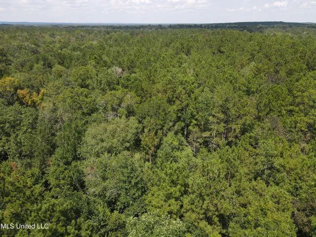 $44,000 | Country Hill Road, Lucedale, MS 39452