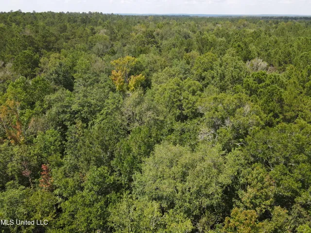 $44,000 | Country Hill Road, Lucedale, MS 39452