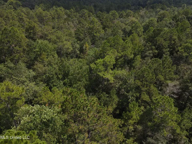 $44,000 | Country Hill Road, Lucedale, MS 39452