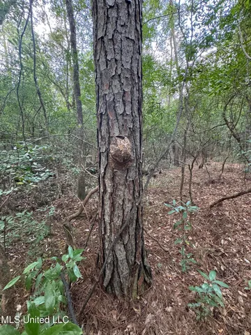 $44,000 | Country Hill Road, Lucedale, MS 39452