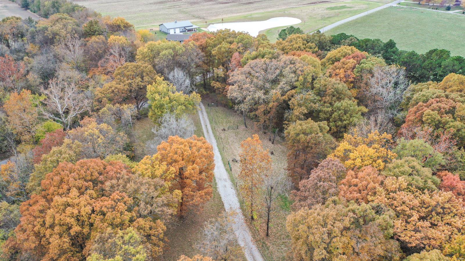 5511 Loop Road Dorsey, IL 62021 - Photo 61 of 65