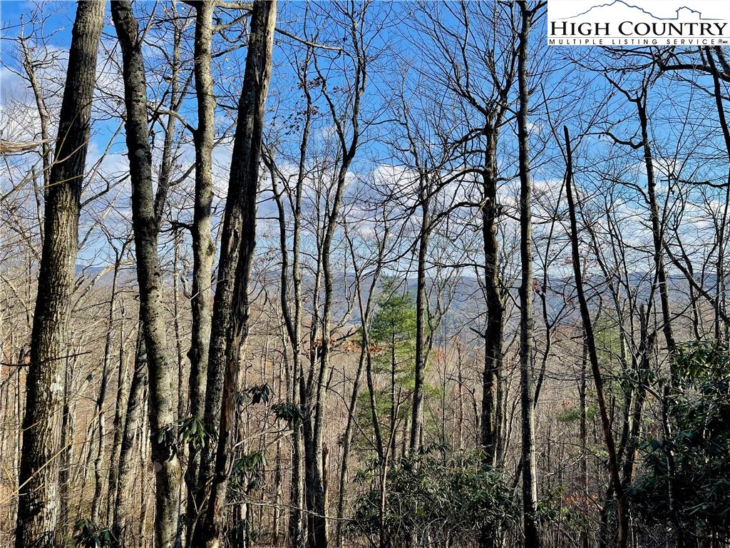 25 Nettles Ridge Road Banner Elk, NC 28604 - Photo 3 of 23 Gallery Image 3