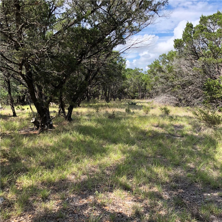 0 Sandy Point Road Wimberley, TX 78676 - Photo 1 of 1 Gallery Image 1