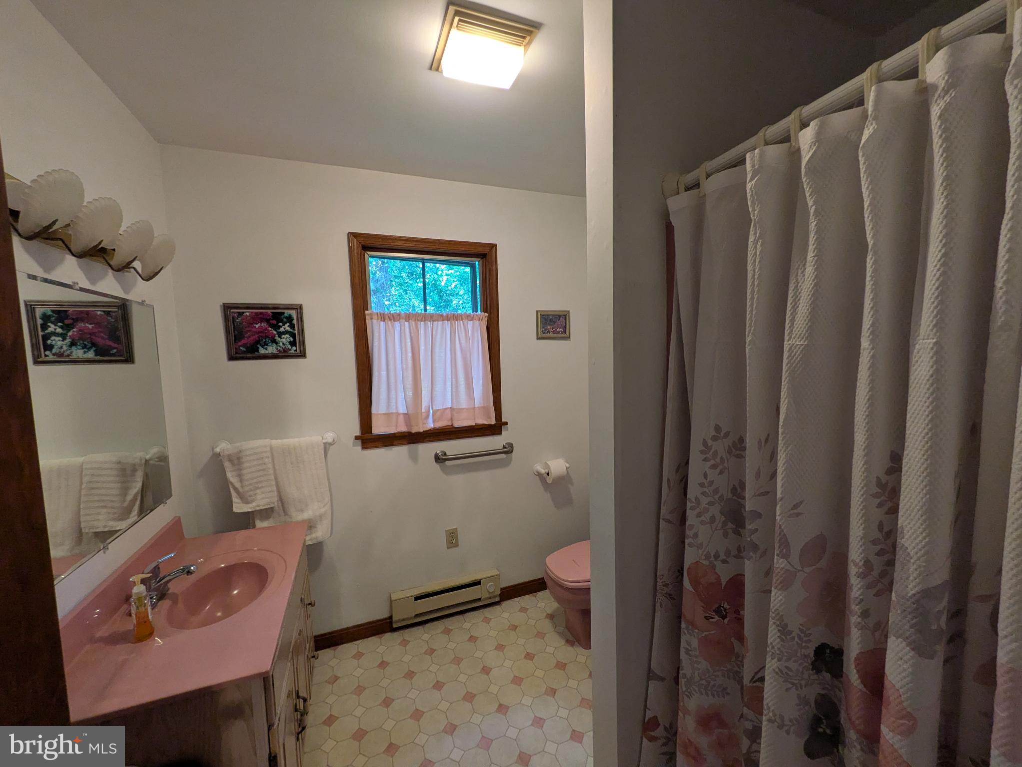 9683 Tharp Road Seaford, DE 19973 - Photo 21 of 41 Primary bath.