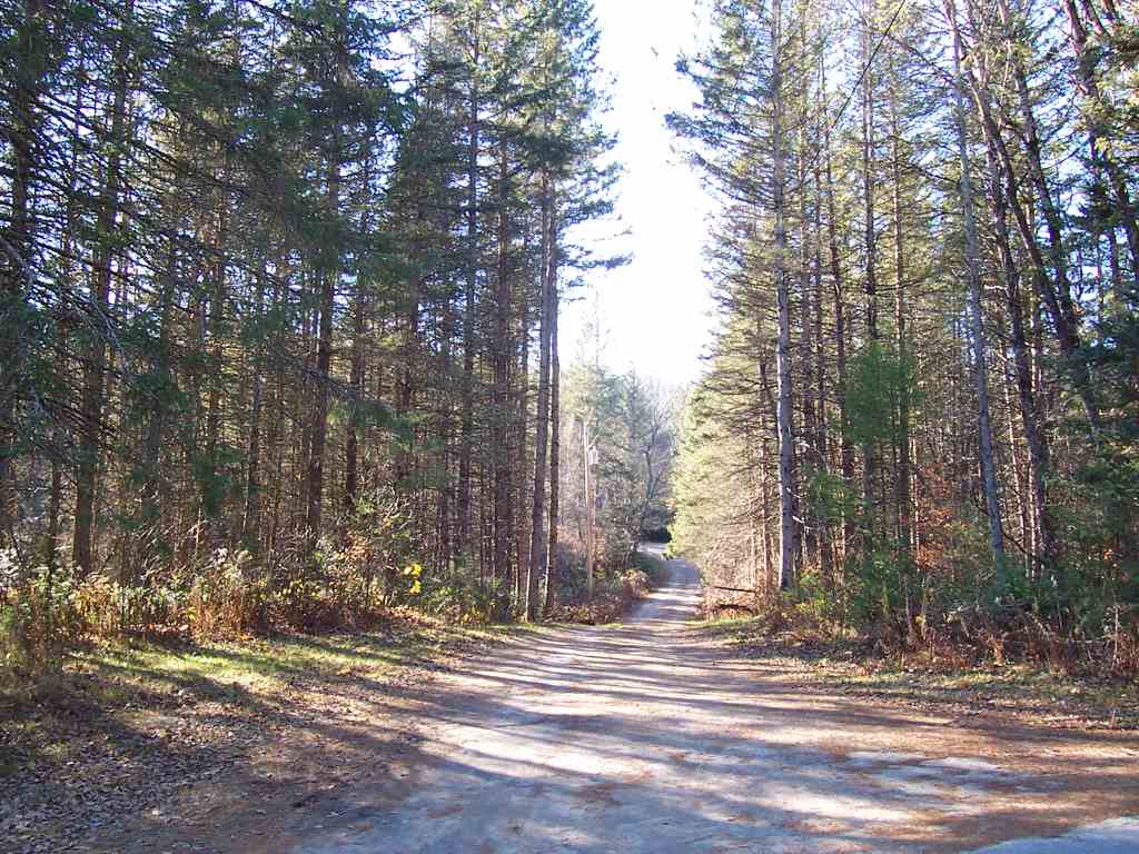 296 Taylor Hill Road Danbury, NH 03230 - Photo 18 of 39 Gallery Image 18