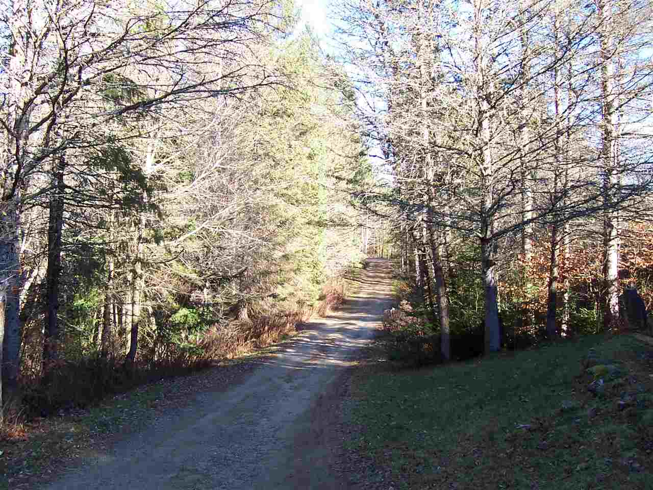 296 Taylor Hill Road Danbury, NH 03230 - Photo 20 of 39 Gallery Image 20