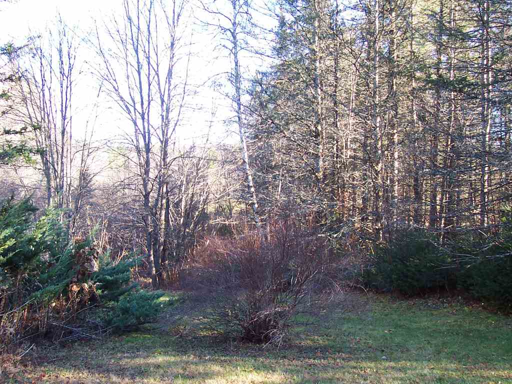 296 Taylor Hill Road Danbury, NH 03230 - Photo 30 of 39 Gallery Image 30