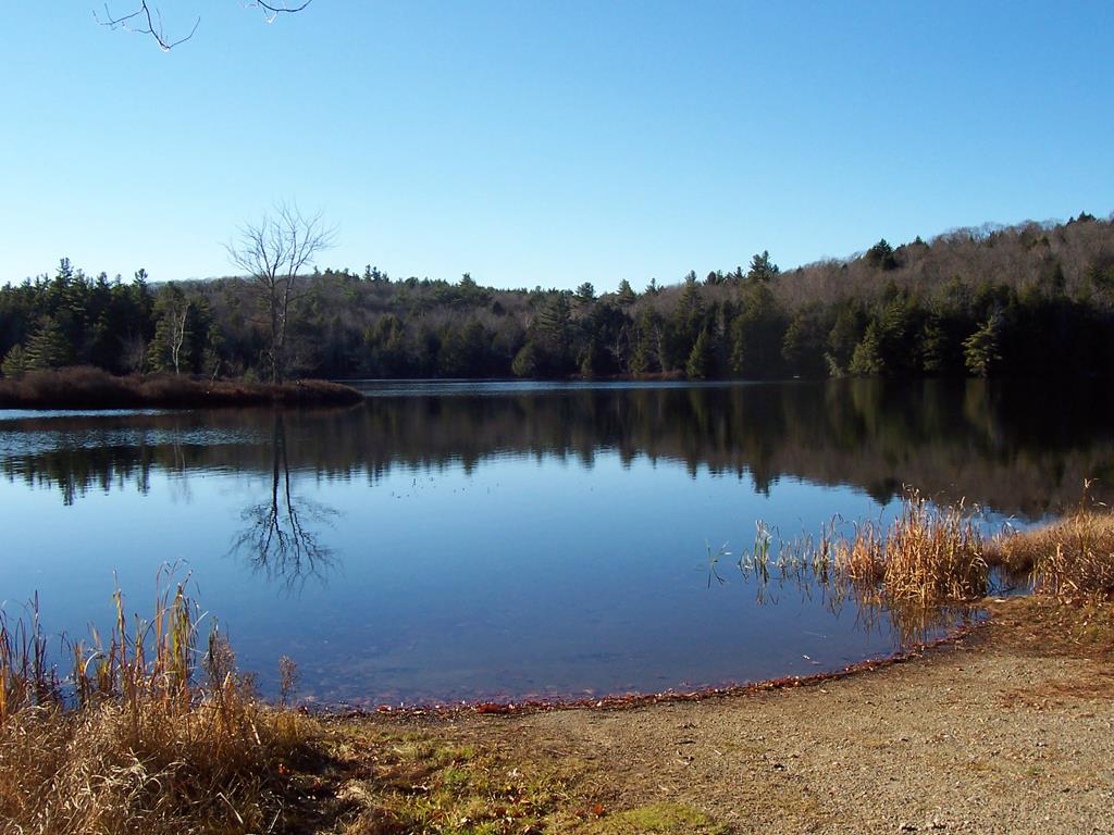 296 Taylor Hill Road Danbury, NH 03230 - Photo 34 of 39 Gallery Image 34