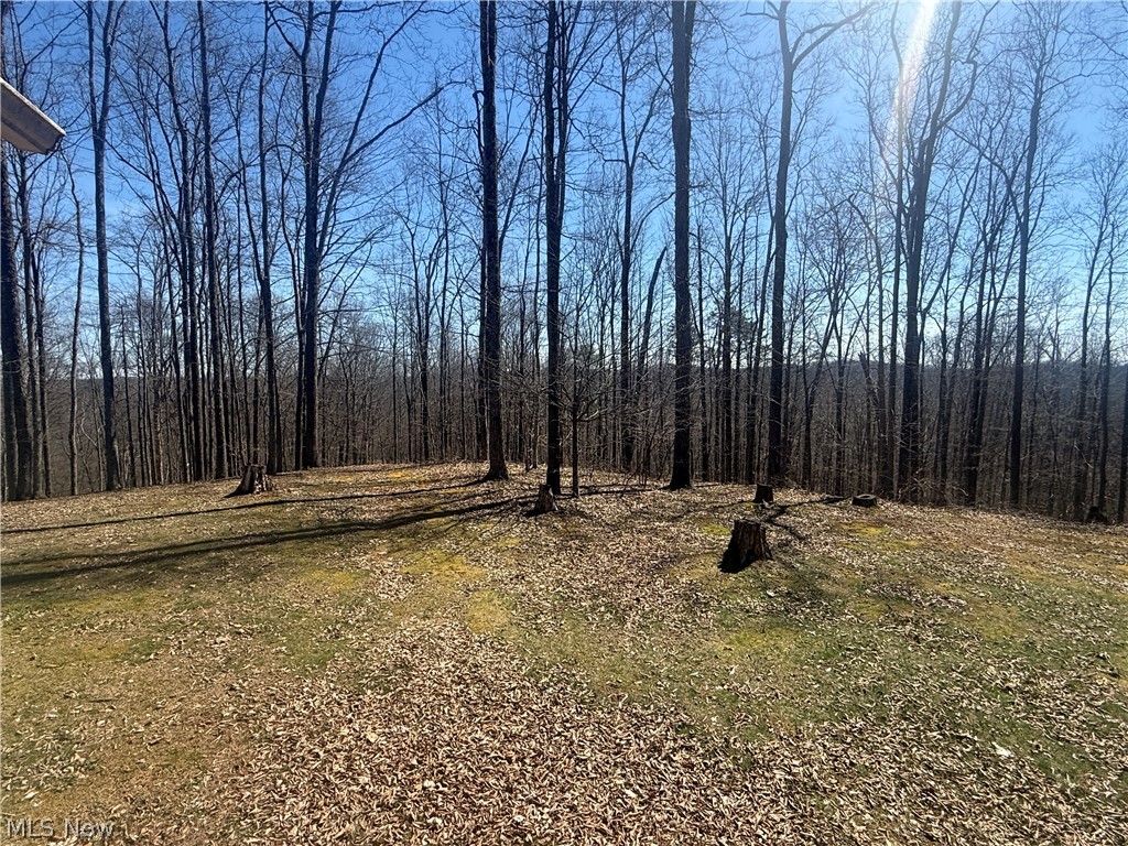 1137 Cain Road Big Bend, WV 26136 - Photo 25 of 31