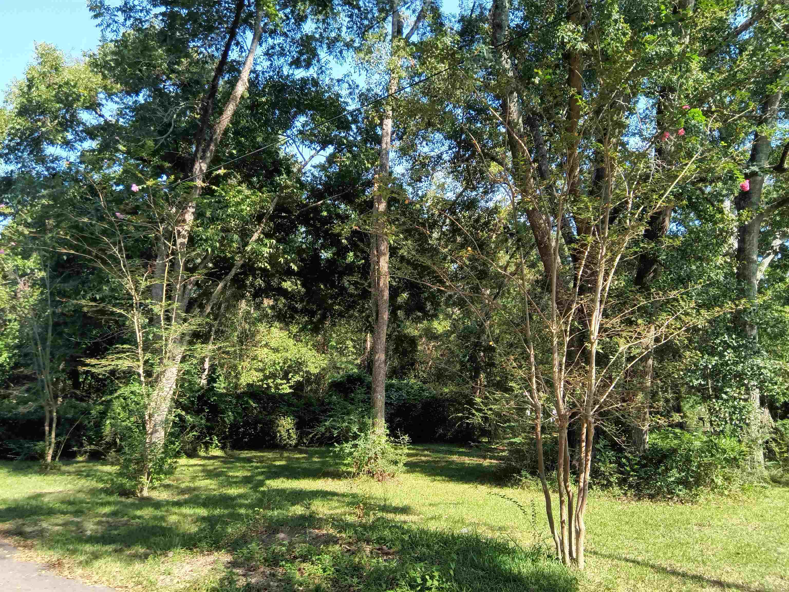 0 Charles Street Bay Minette, AL 36507 - Photo 8 of 10