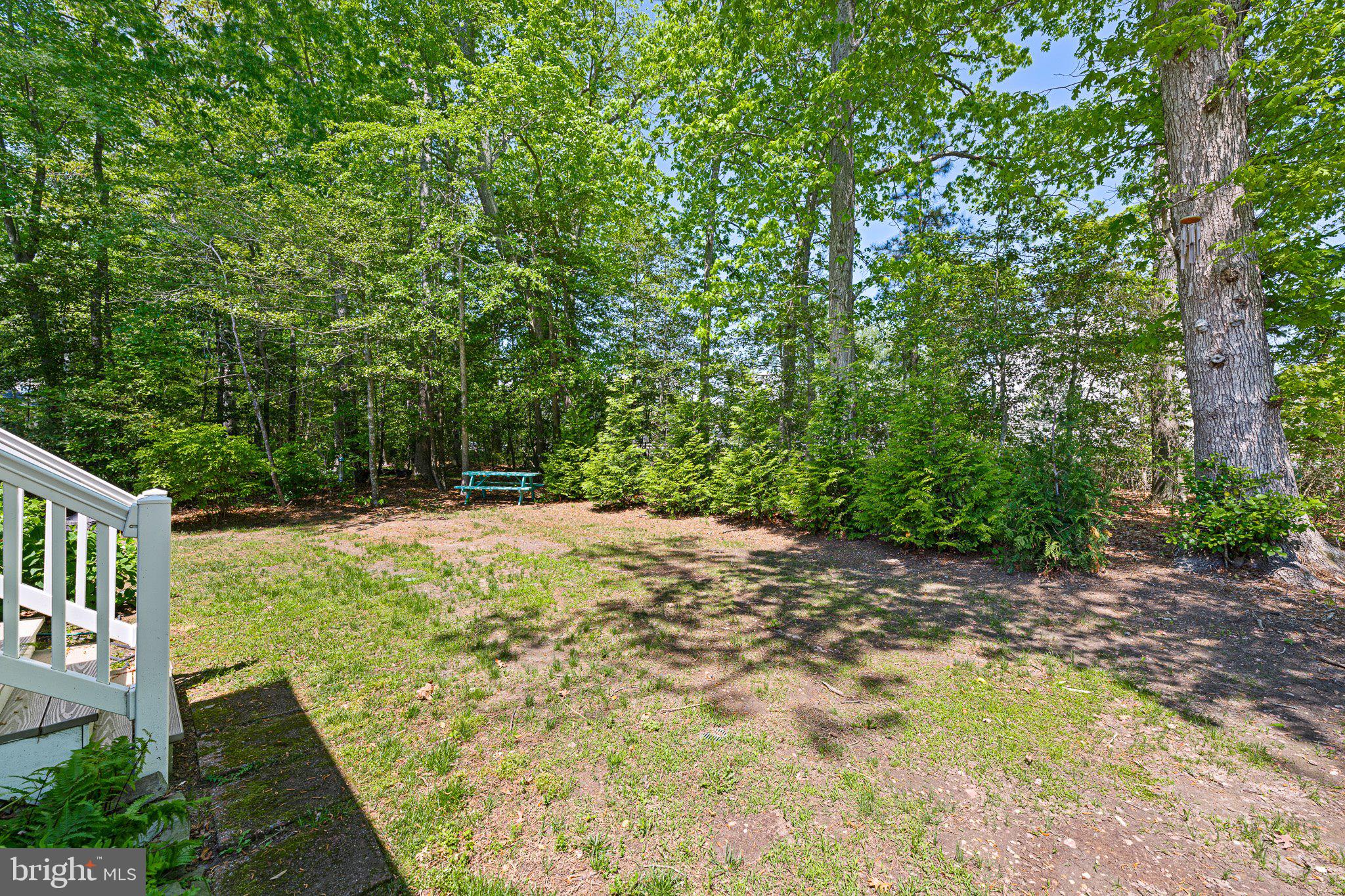 718 Foxtail Drive Bethany Beach, DE 19930 - Photo 31 of 39 a view of a backyard with large trees
