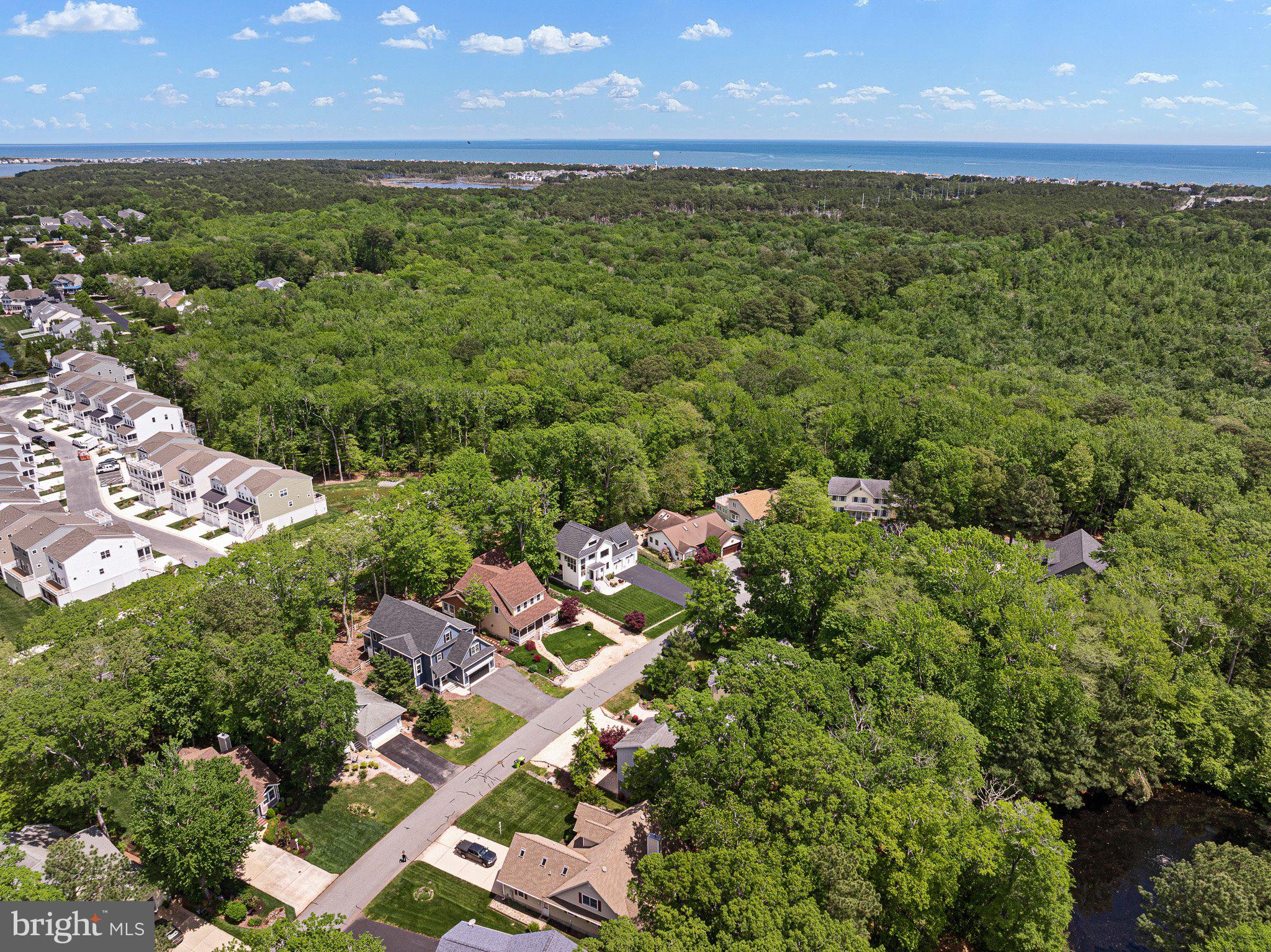 718 Foxtail Drive Bethany Beach, DE 19930 - Photo 38 of 39 an aerial view of residential houses with outdoor space and trees