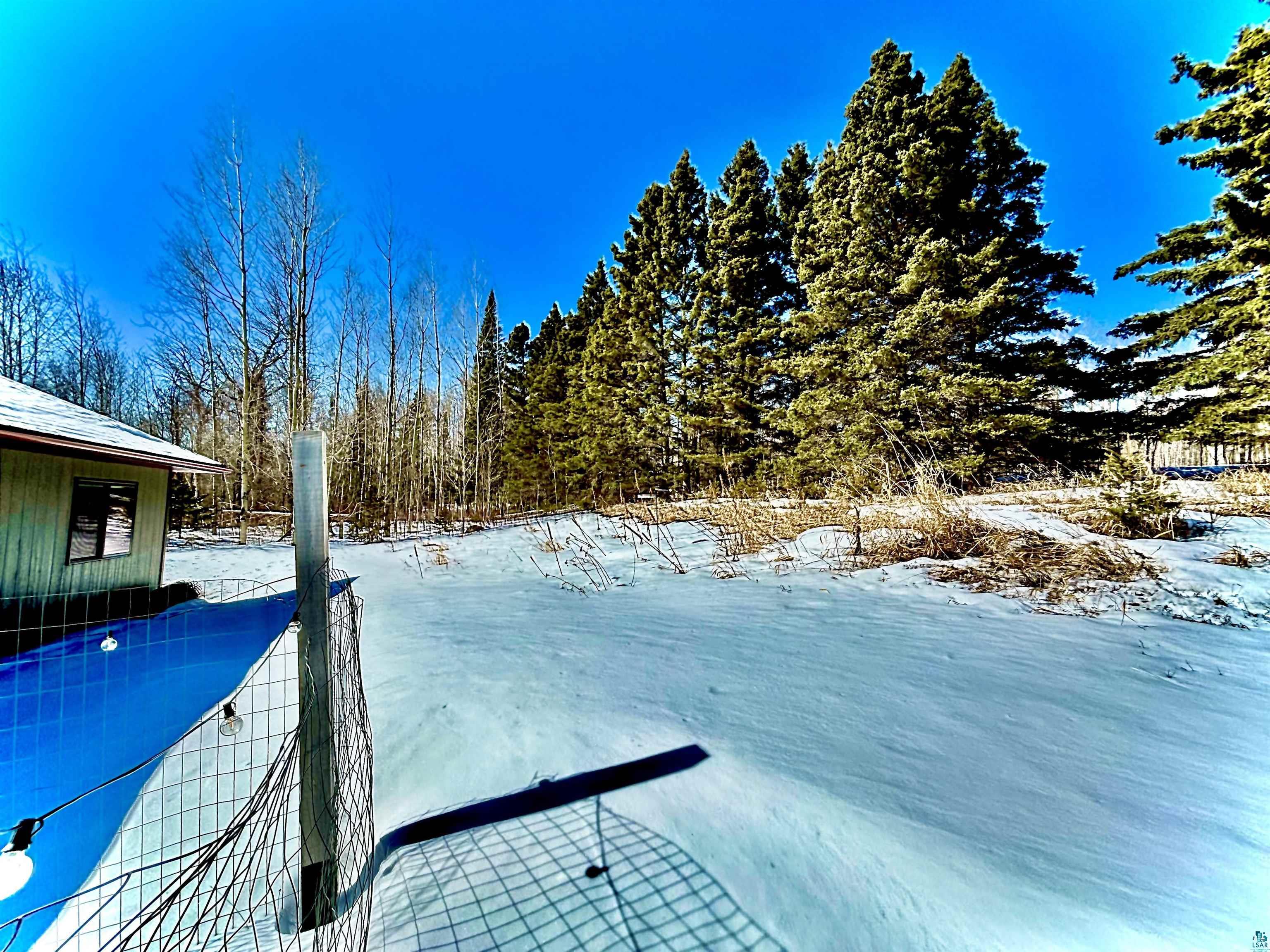 265 Mink Ranch Road Lutsen, MN 55612 - Photo 18 of 36 View of forest