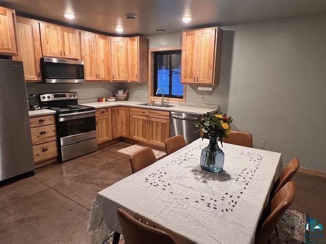 265 Mink Ranch Road Lutsen, MN 55612 - Photo 5 of 36 Kitchen featuring stainless steel appliances, light countertops, and concrete floors