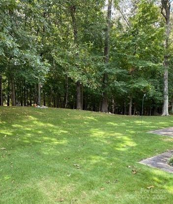7327 Ricewell Road Charlotte, NC 28226 - Photo 21 of 22 a view of a park with trees in the background