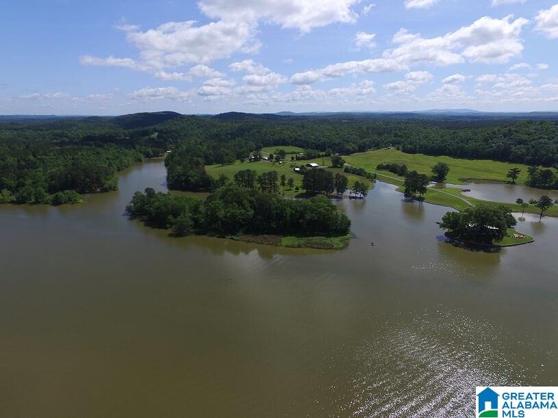 1641 Embry Bend Road Lincoln, AL 35096 - Photo 12 of 50 Gallery Image 12