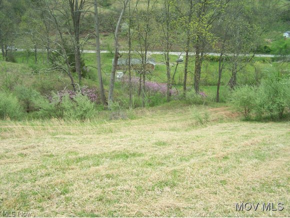3514 Charleston Road Spencer, WV 25276 - Photo 11 of 11
