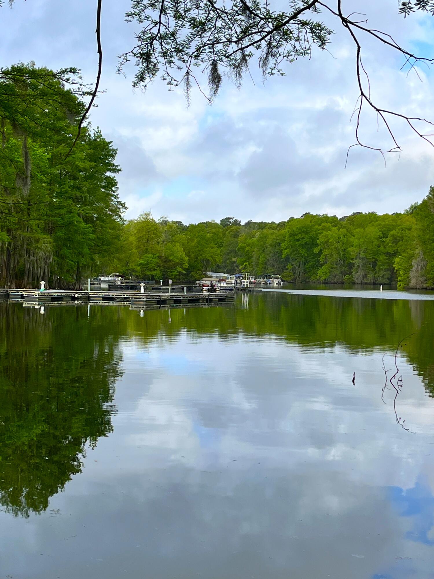 121 Ballard Lane Santee, SC 29142 - Photo 32 of 35 IMG_8679