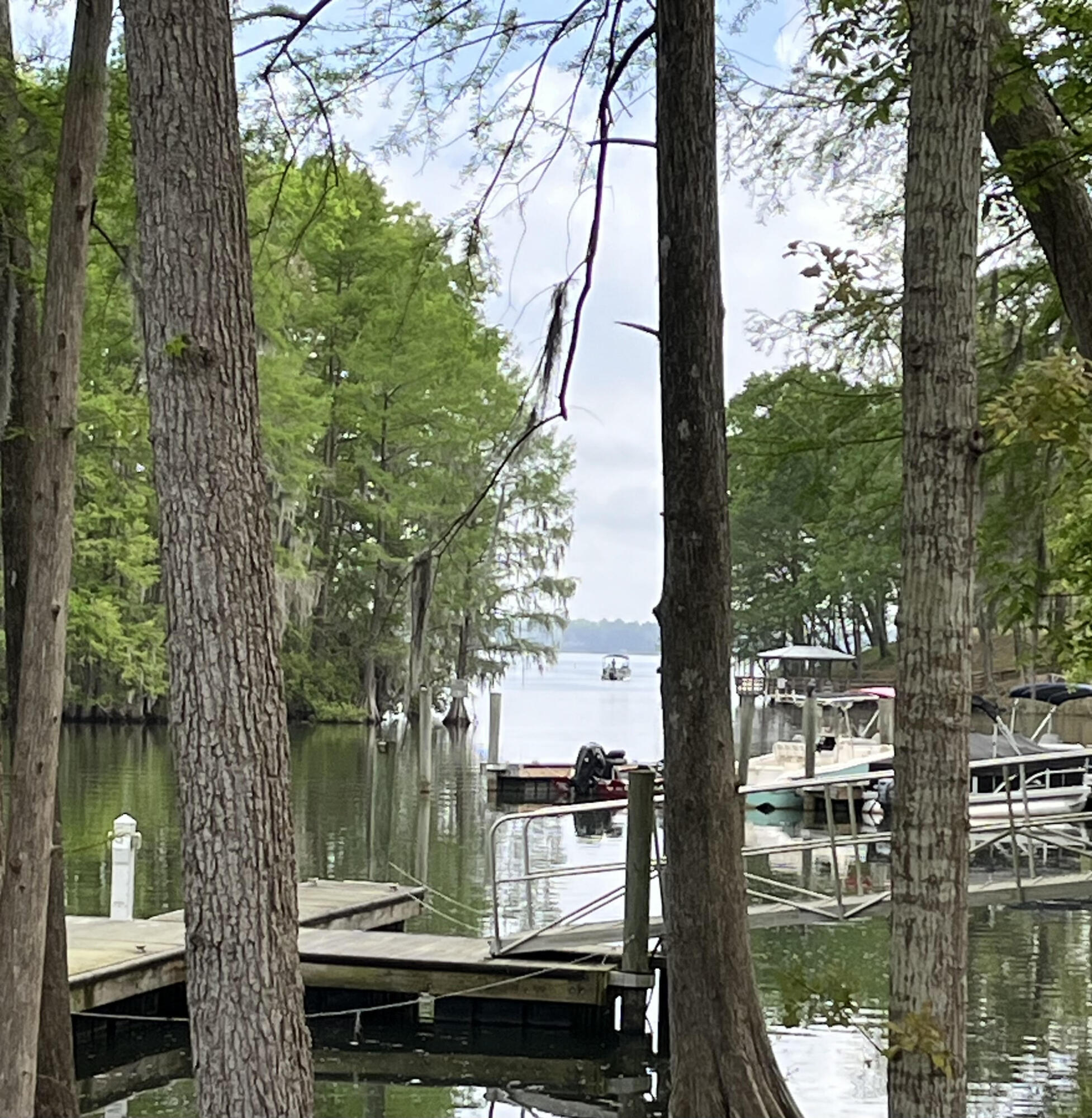 121 Ballard Lane Santee, SC 29142 - Photo 33 of 35 unnamed