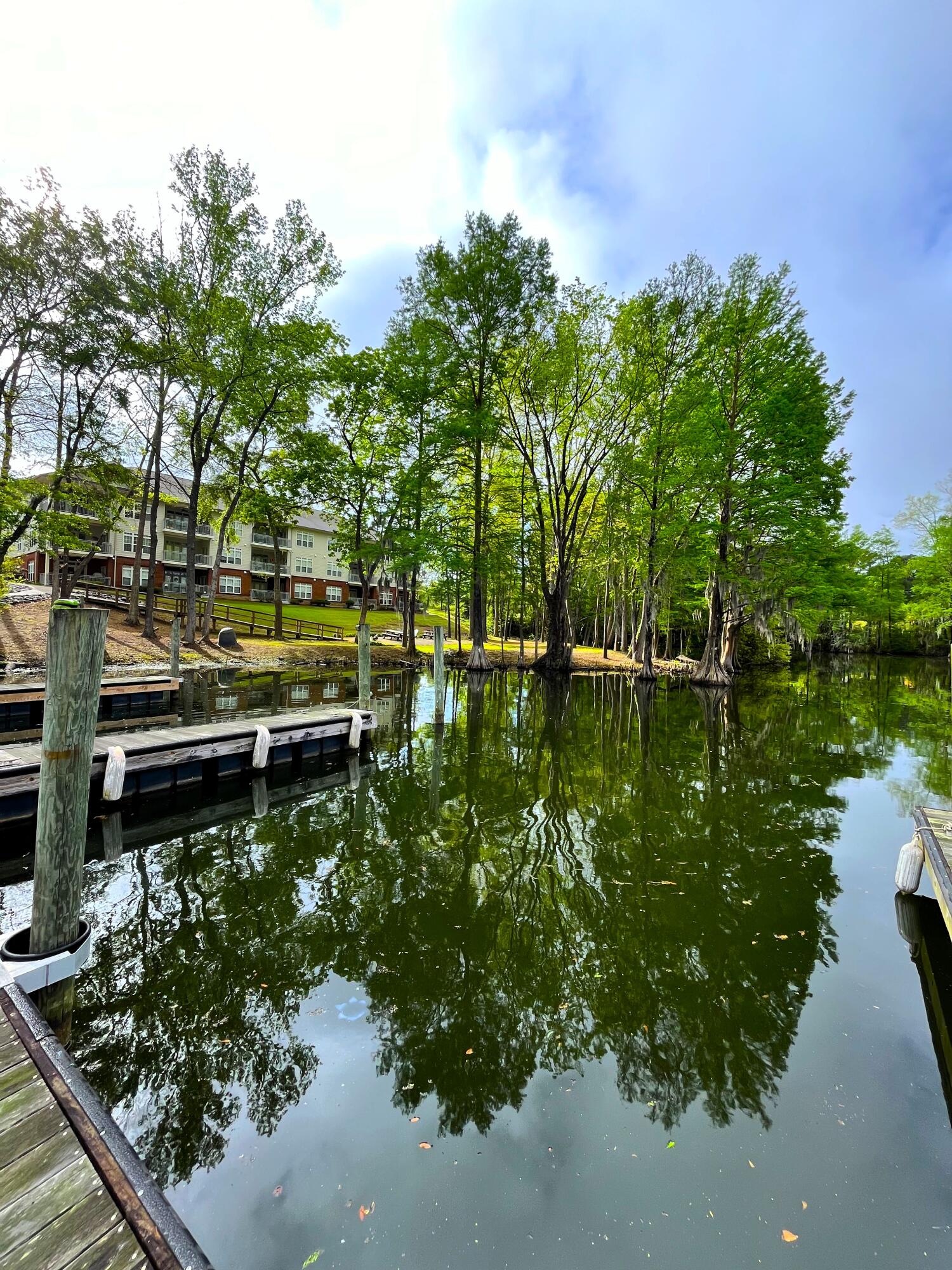 121 Ballard Lane Santee, SC 29142 - Photo 34 of 35 IMG_8671