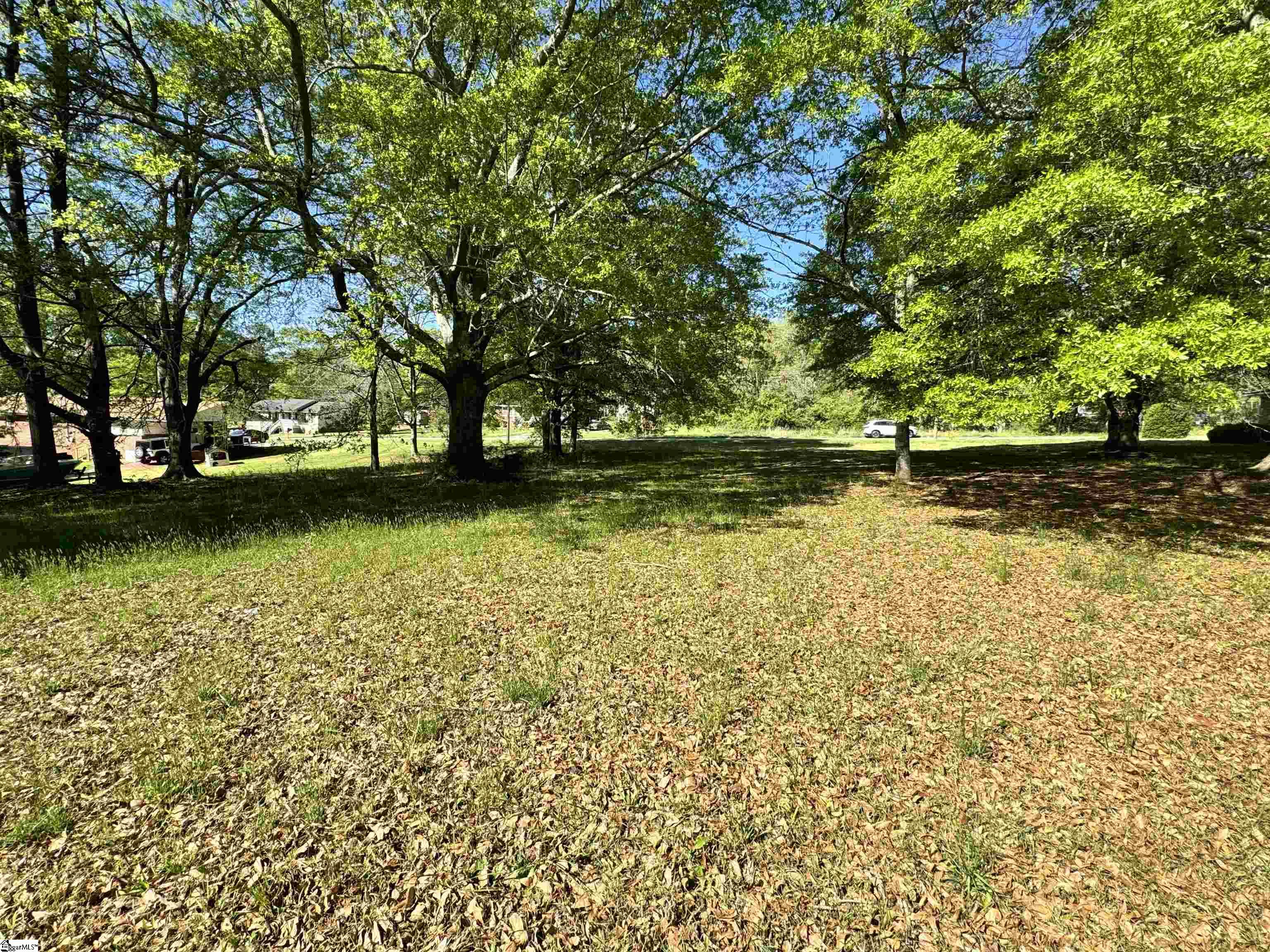 0 Riddle Street Laurens, SC 29360 - Photo 3 of 4 Gallery Image 3