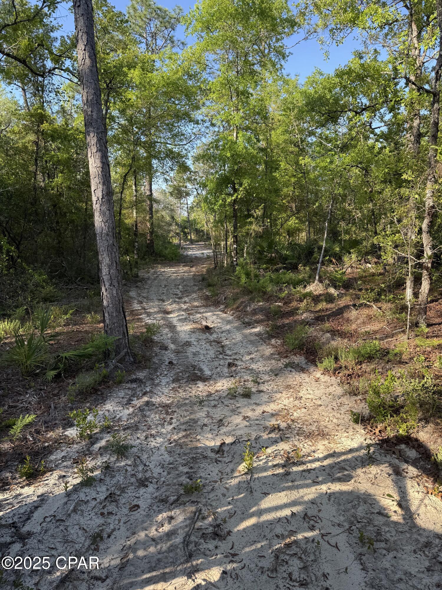 516 Goshun Creek Road Chipley, FL 32428 - Photo 8 of 24