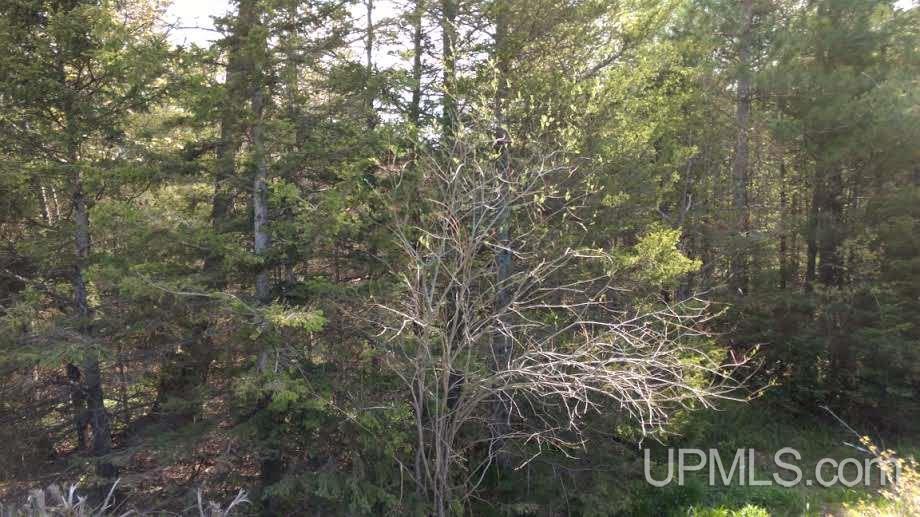 Tbd Boundary Road Chassell, MI 49931 - Photo 15 of 15