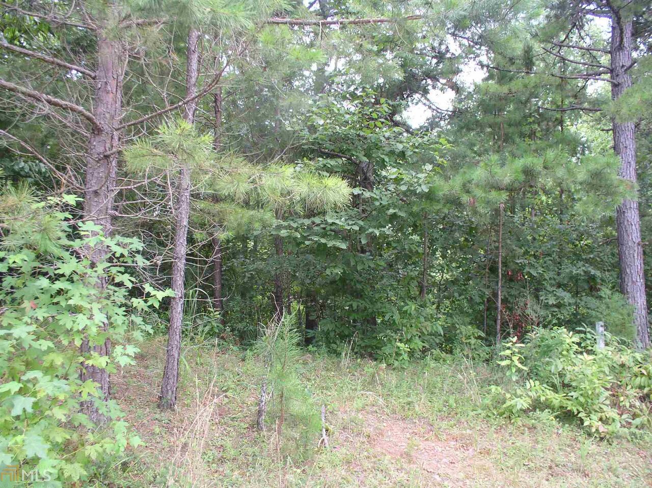 0 Antioch Church Road, Unit TRACT 2 Toccoa, GA 30577 - Photo 1 of 1 Gallery Image 1