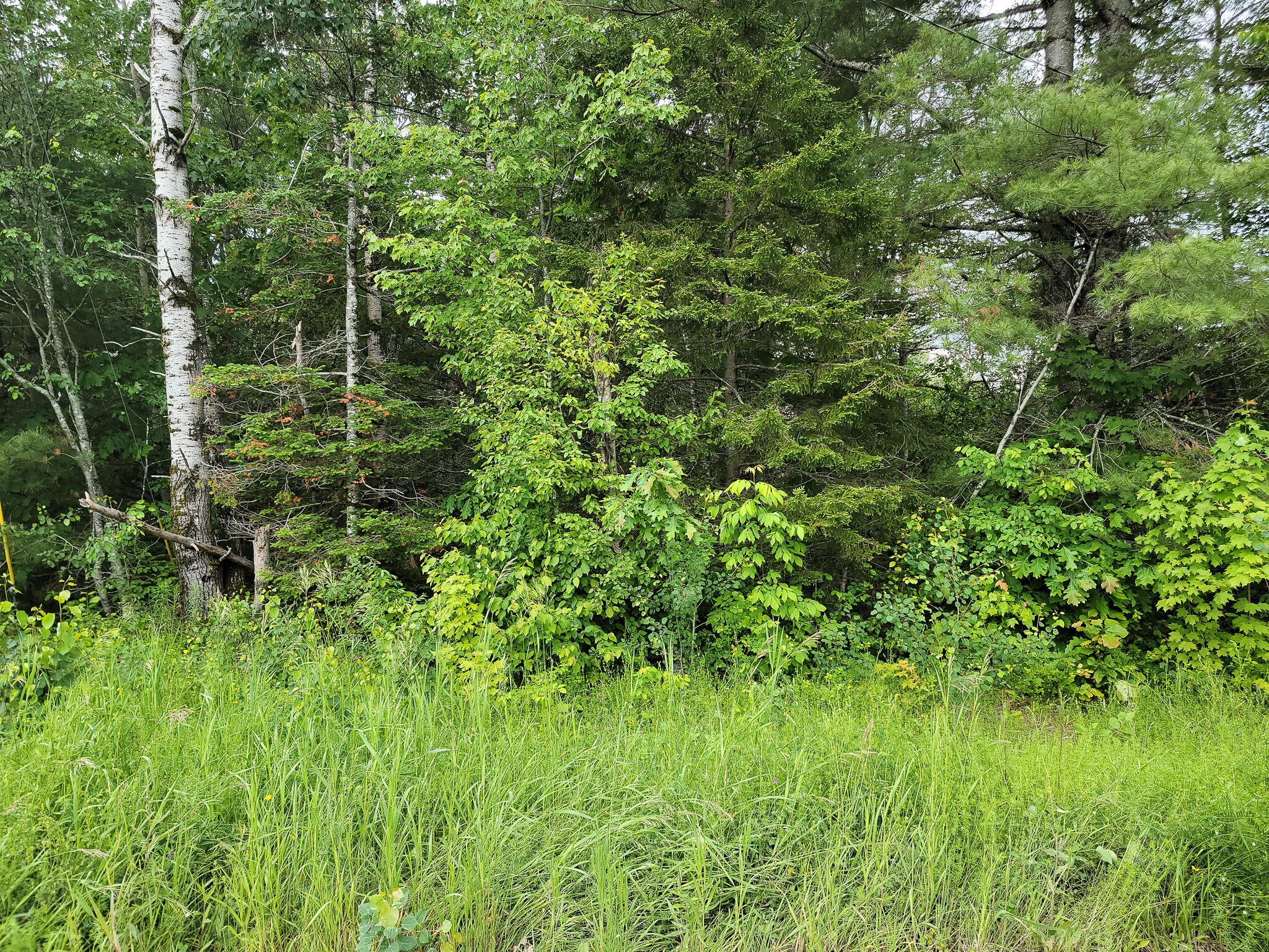 M7-l5 Osgood Road Carroll Plt, ME 04487 - Photo 5 of 6 5