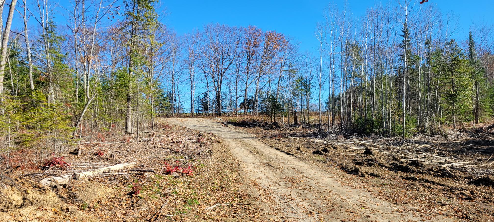 25-22 Back Troy Road Troy, ME 04987 - Photo 43 of 43 Woods road