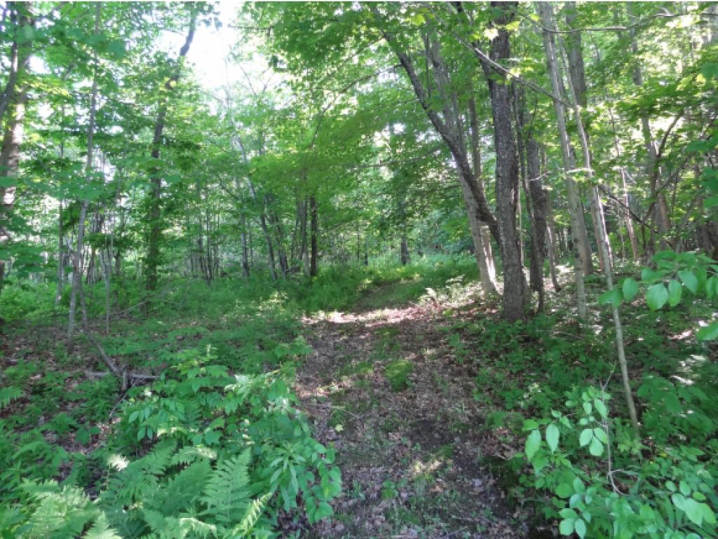 1240 Summit Road Mount Holly, VT 05758 - Photo 11 of 19