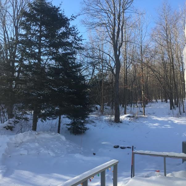 1240 Summit Road Mount Holly, VT 05758 - Photo 3 of 19
