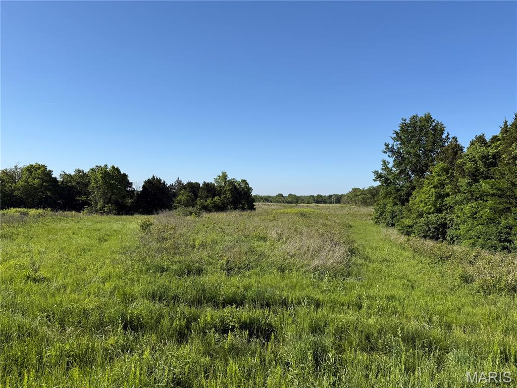 0 Snyder Road Troy, MO 63379 - Photo 2 of 6