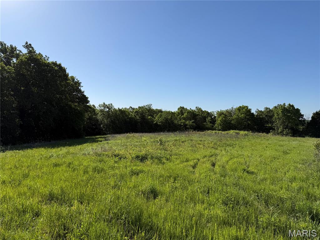 0 Snyder Road Troy, MO 63379 - Photo 3 of 6