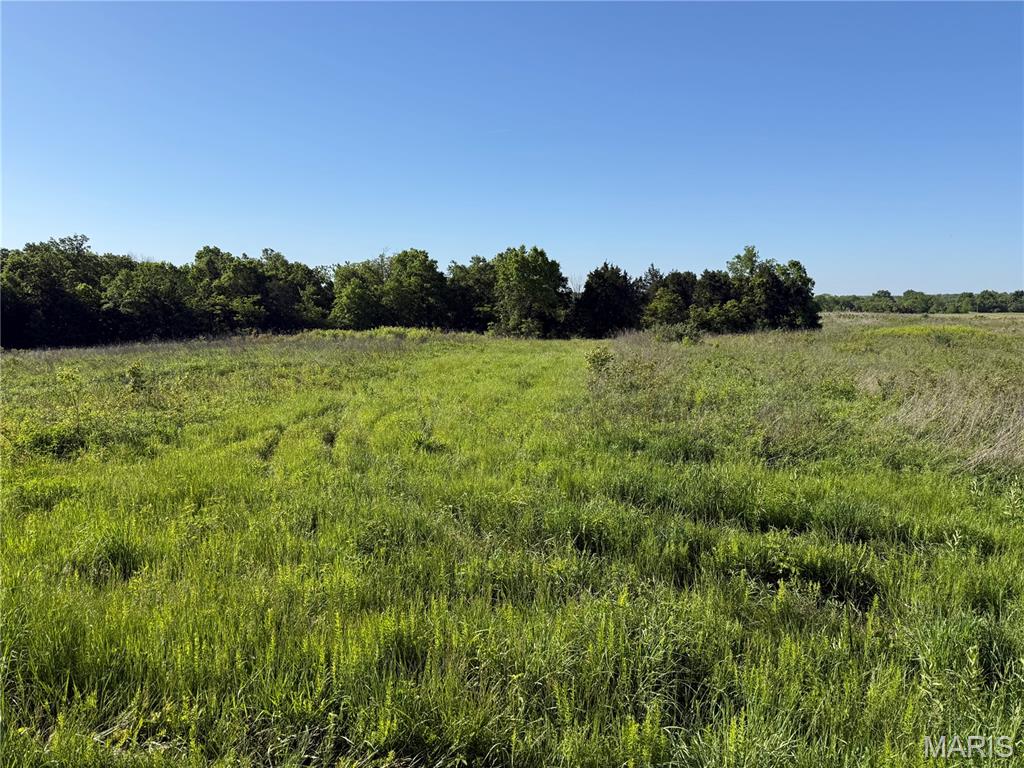 0 Snyder Road Troy, MO 63379 - Photo 4 of 6