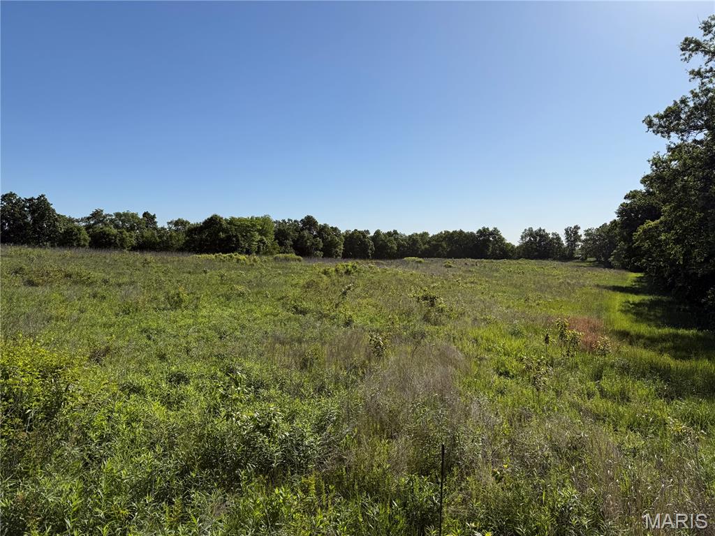 0 Snyder Road Troy, MO 63379 - Photo 5 of 6