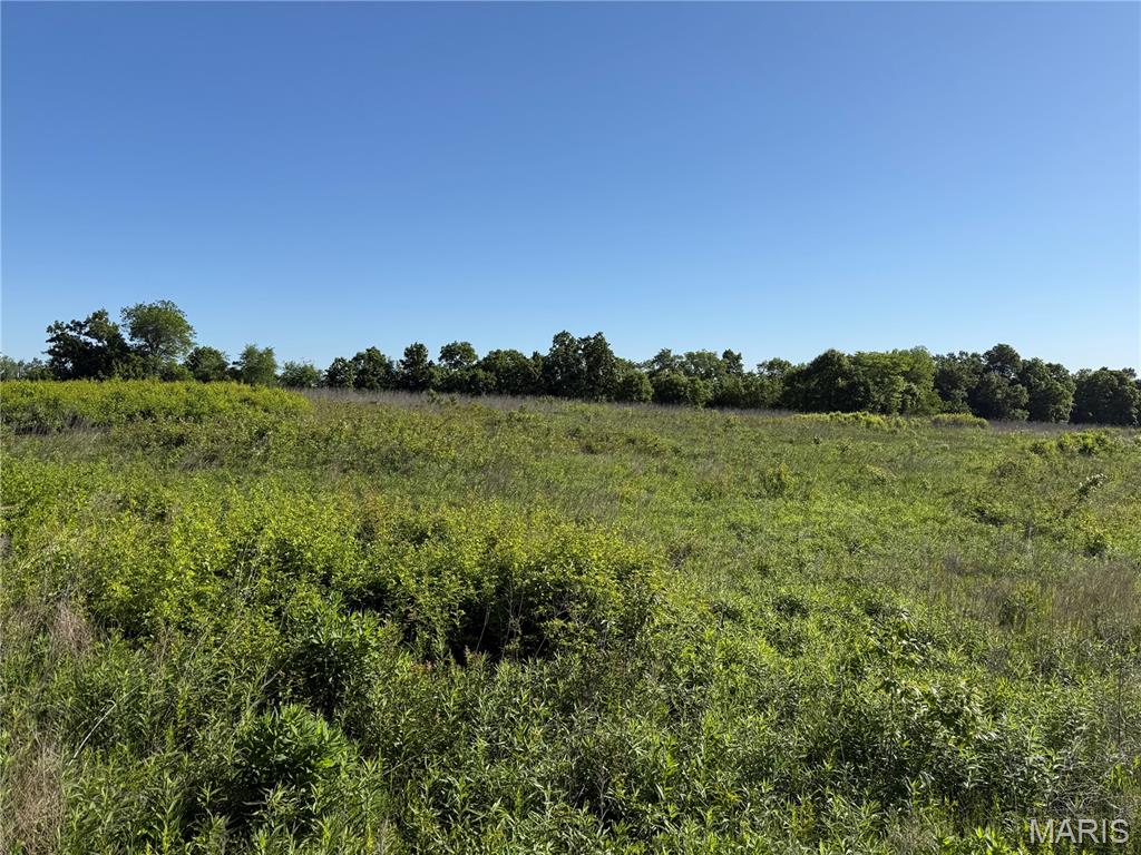 0 Snyder Road Troy, MO 63379 - Photo 6 of 6