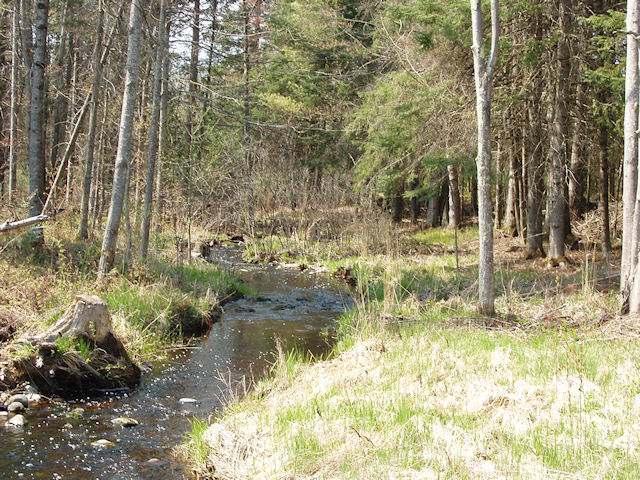 N15753 Tower Road Park Falls, WI 54552 - Photo 5 of 16 Gallery Image 5