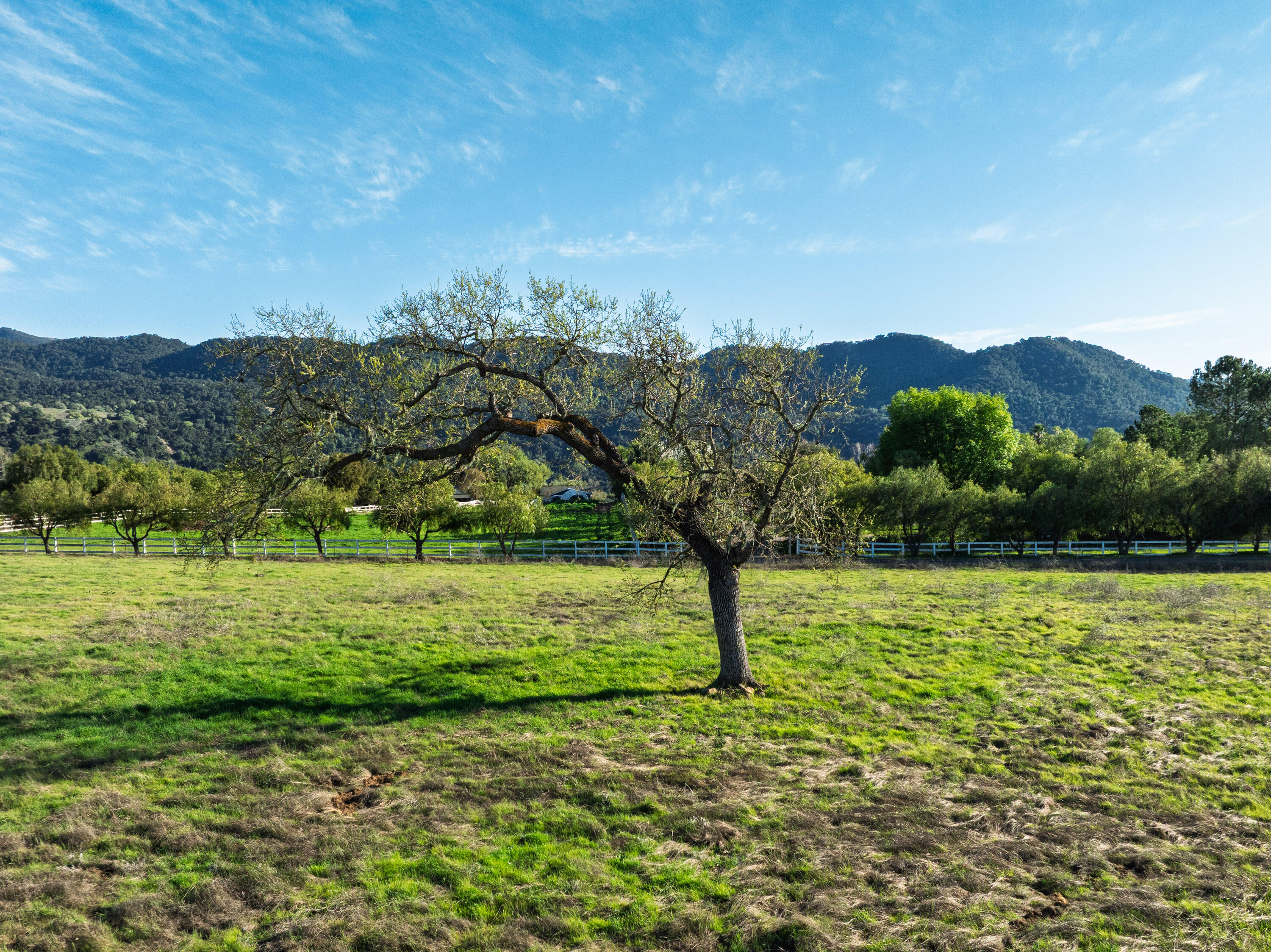0 White Oak Road Santa Ynez, CA 93460 - Photo 9 of 13 0 White Oak Rd Web-10