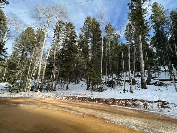 $40,000 | 222 Banner Trail, Florissant, CO 80816