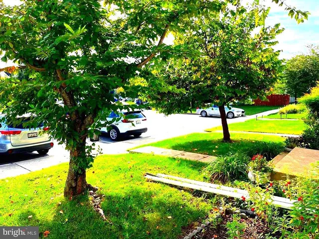 a view of yard with green space