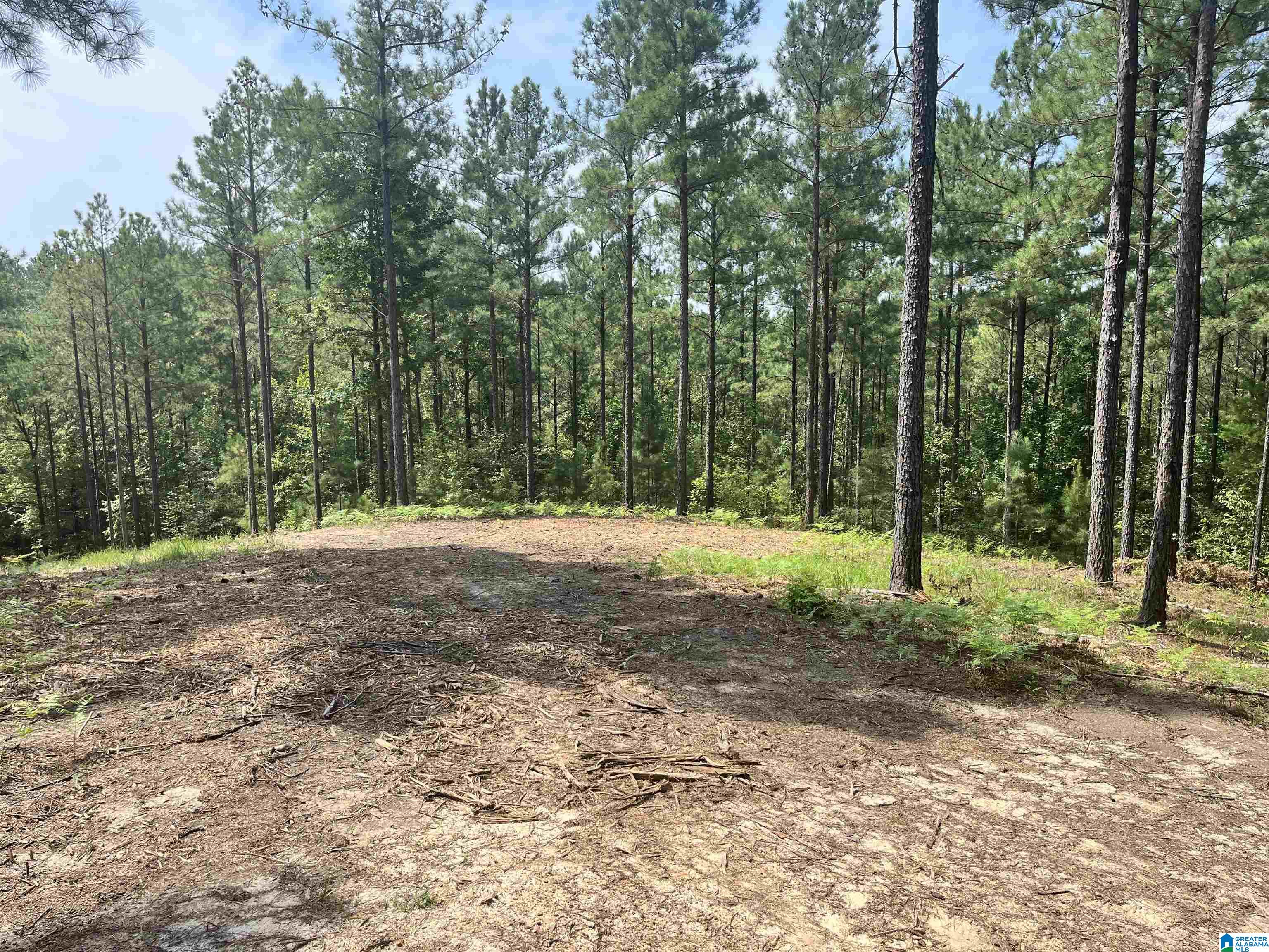 680 Sweet Apple Road, Unit TRACT 3 Pell City, AL 35128 - Photo 1 of 6