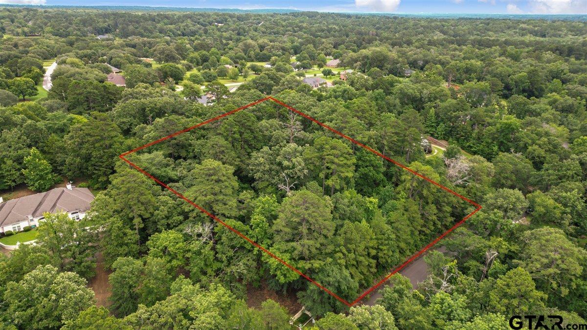 Lot 31 Oakbrook Road Tyler, TX 75703 - Photo 2 of 9