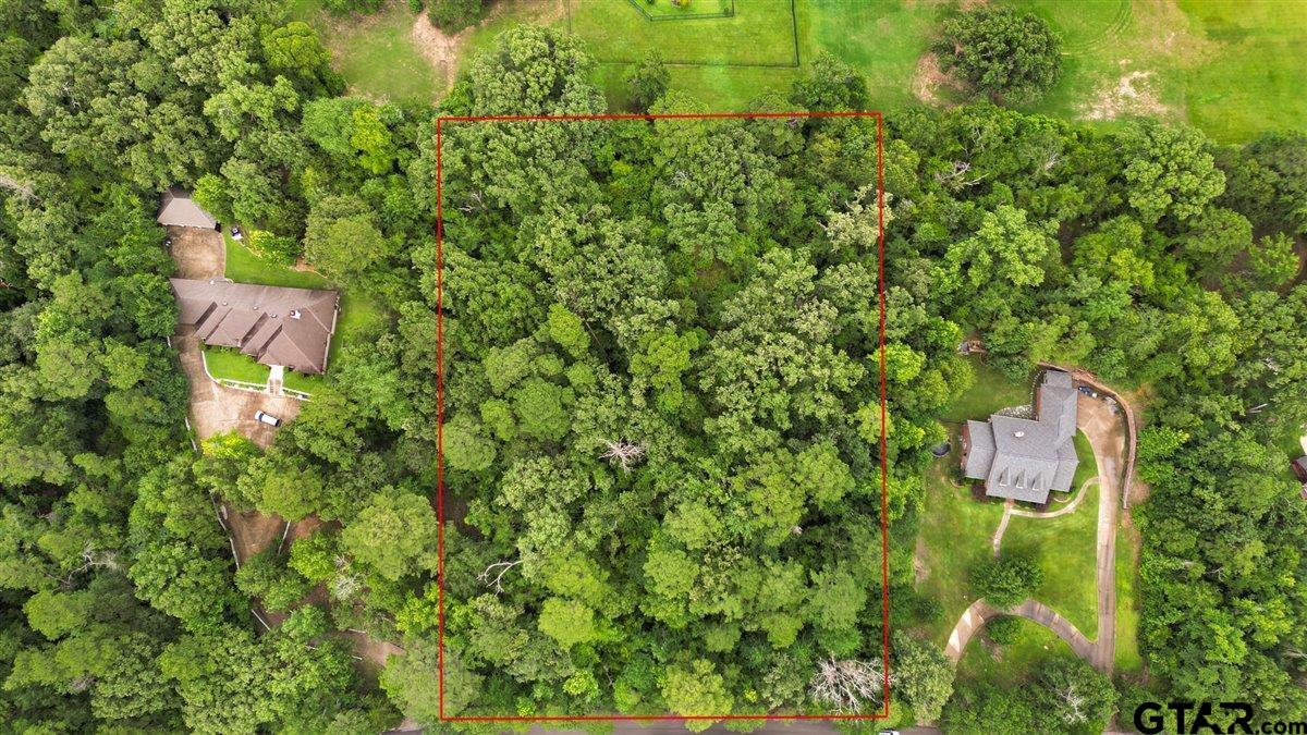 Lot 31 Oakbrook Road Tyler, TX 75703 - Photo 3 of 9