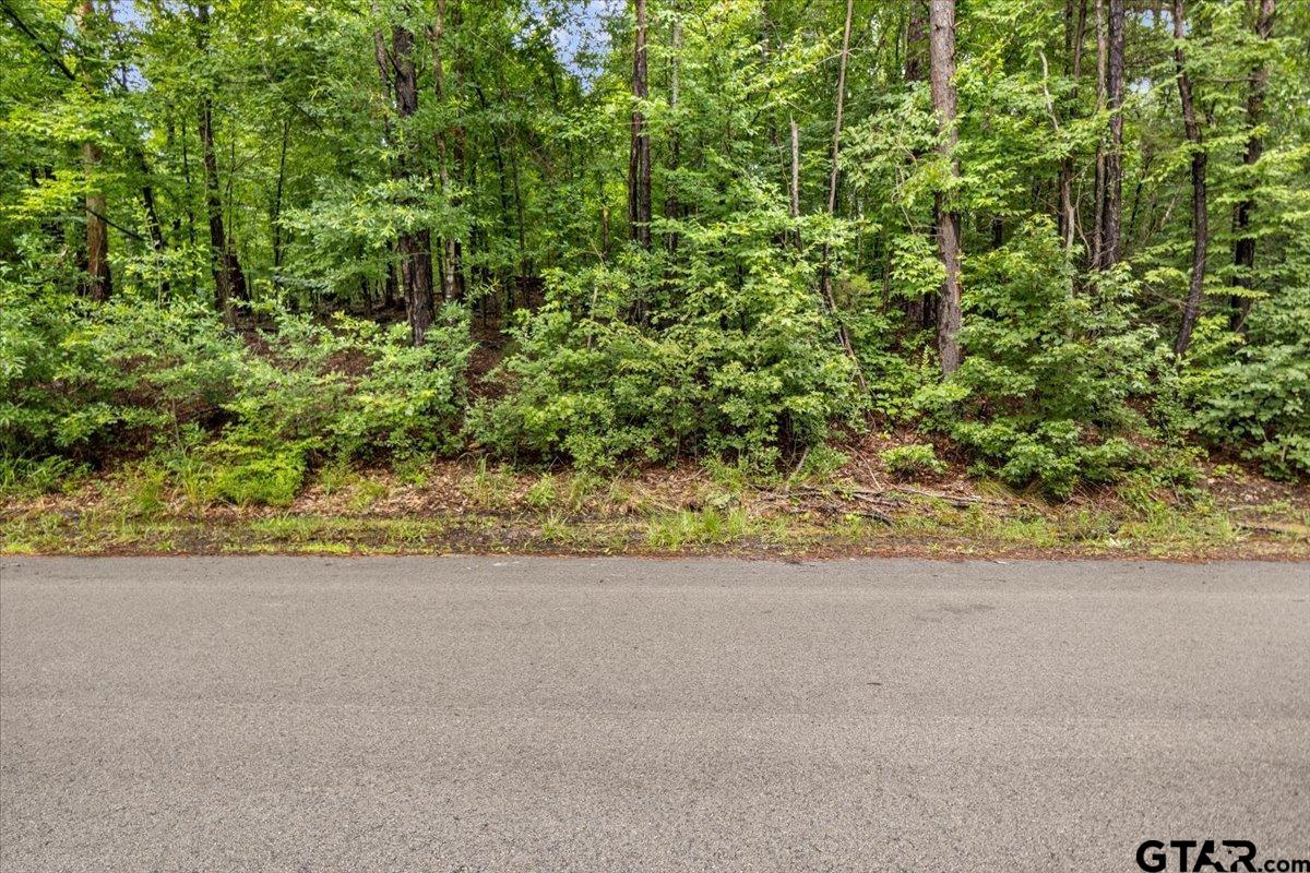 Lot 31 Oakbrook Road Tyler, TX 75703 - Photo 4 of 9