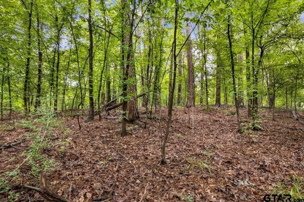 $299,000 | Lot 31 Oakbrook Road, Tyler, TX 75703