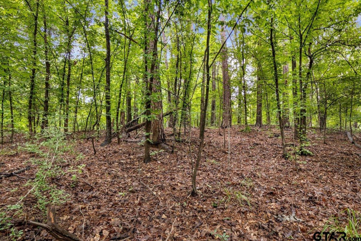 Lot 31 Oakbrook Road Tyler, TX 75703 - Photo 5 of 9