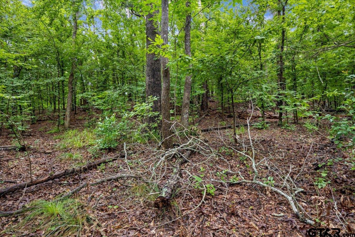 Lot 31 Oakbrook Road Tyler, TX 75703 - Photo 8 of 9